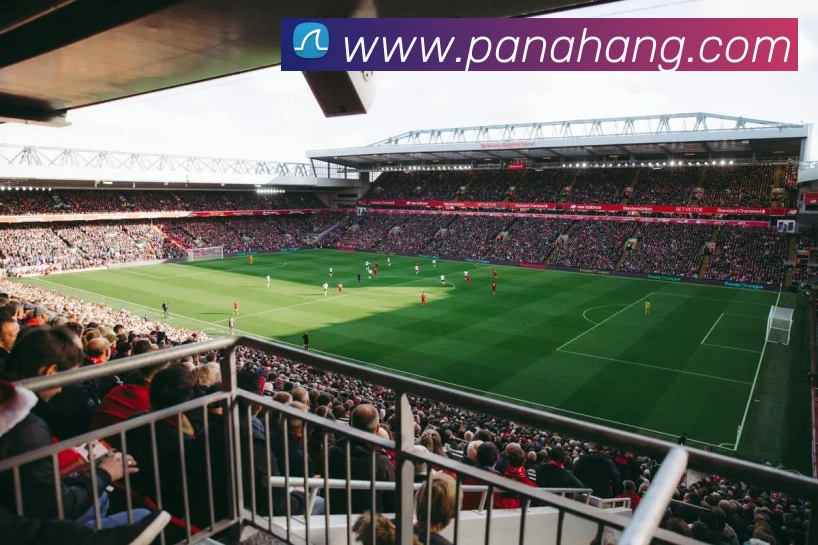 爱游戏ayx体育官网APP 封面图